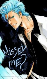 Bleach 624 Grimmjow Miss Me by sideburn004